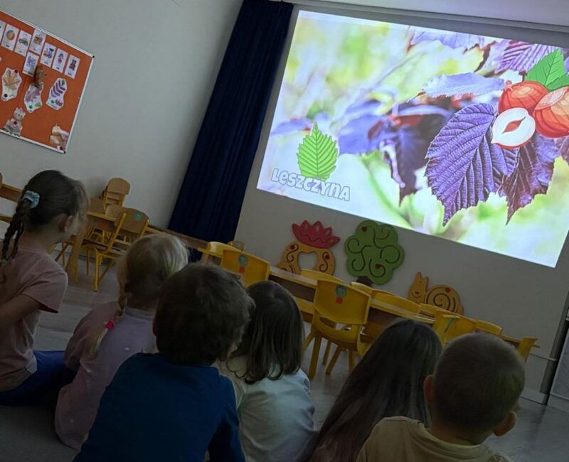 574564578_1362082812373296_1416687341725695735_n