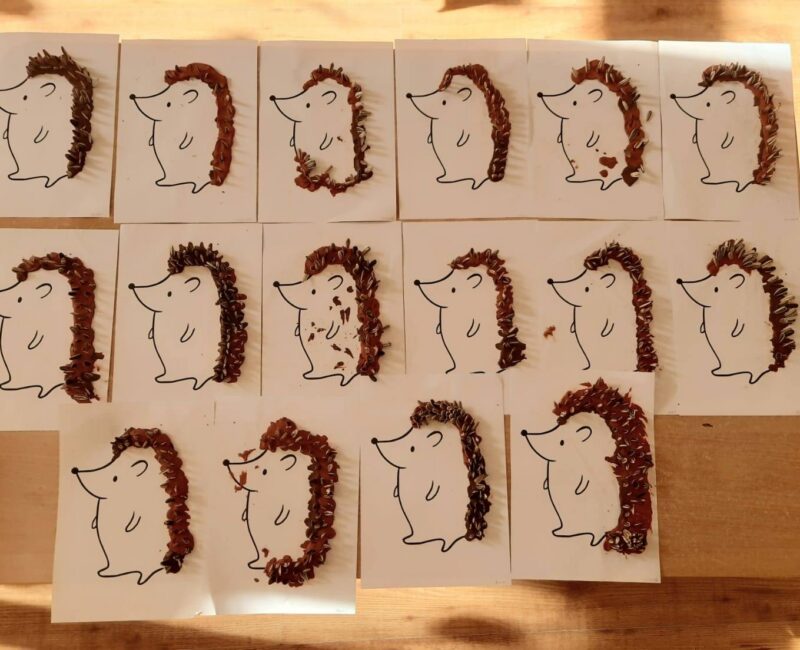 574950364_1313311693926500_2062342439153236439_n